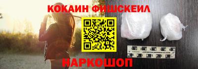 крисы Моздок