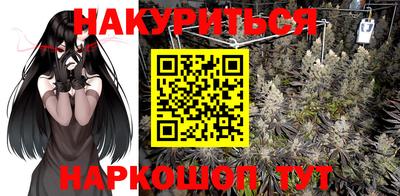 крисы Моздок