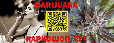 крисы Моздок
