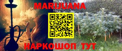 крисы Моздок