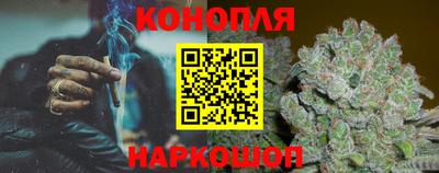 крисы Моздок