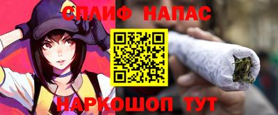 крисы Моздок