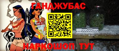 крисы Моздок