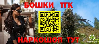 крисы Моздок