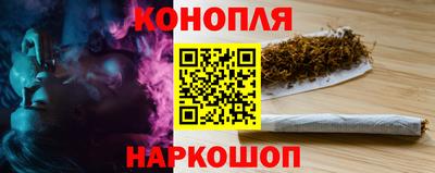 крисы Моздок