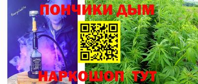 крисы Моздок