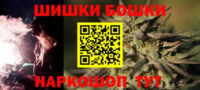 крисы Моздок