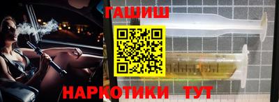 крисы Моздок