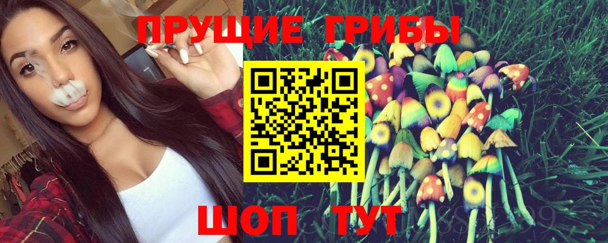 Псилоцибиновые грибы Psilocybine cubensis Чебаркуль