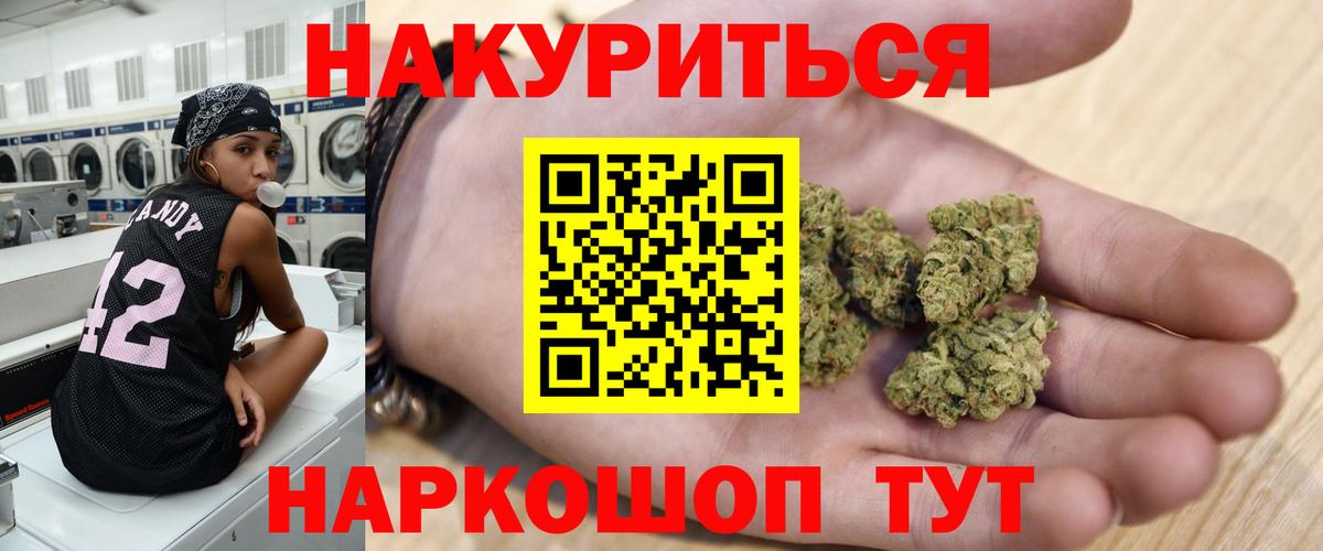 Каннабис планчик Чебаркуль